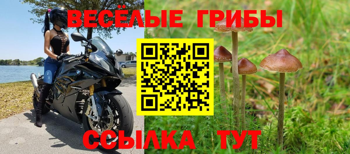 Псилоцибиновые грибы мухоморы  Вход с VPN  Кисловодск 