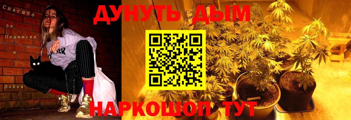 Каннабис Ganja Кисловодск